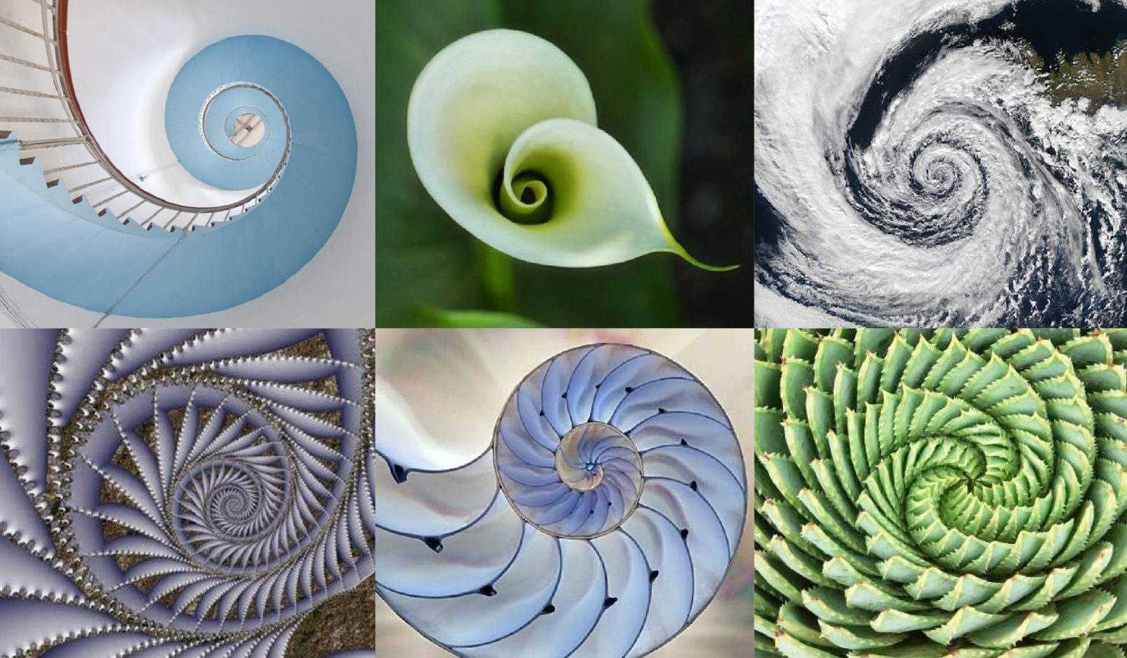 nature images using the Fibonacci sequence