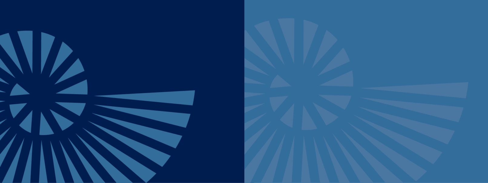 Nautilus Branding Patterns